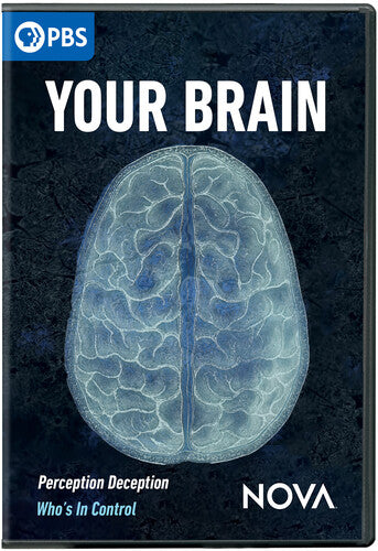 Nova: Your Brain - Nova: Your Brain - DVD