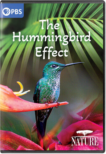 Nature: The Hummingbird Effect - Nature: The Hummingbird Effect - DVD