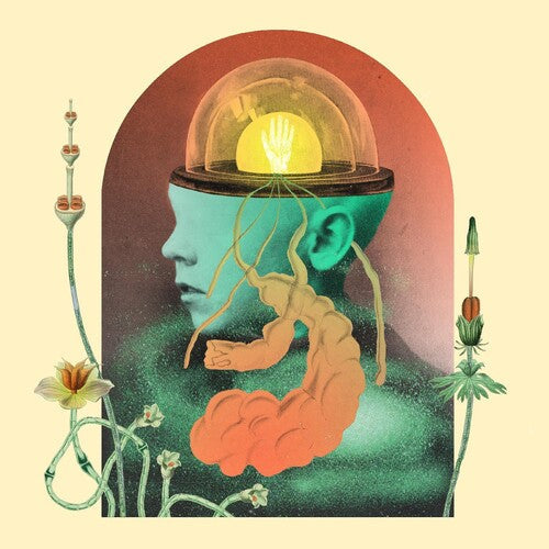 Salami Rose Joe Louis - Akousmatikous Vinyl Record