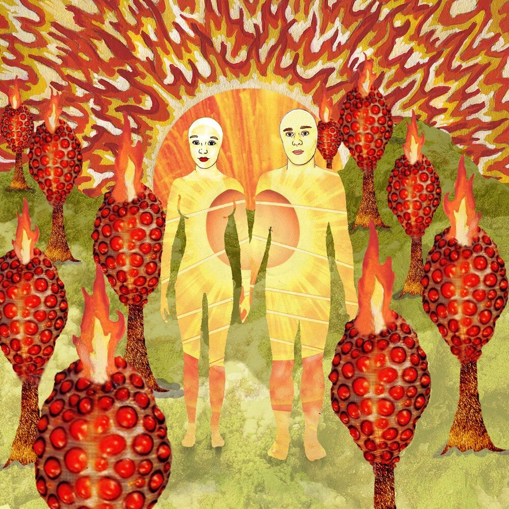 the album cover for Of Montreal - The Sunlandic Twins (Bonus Tracks)