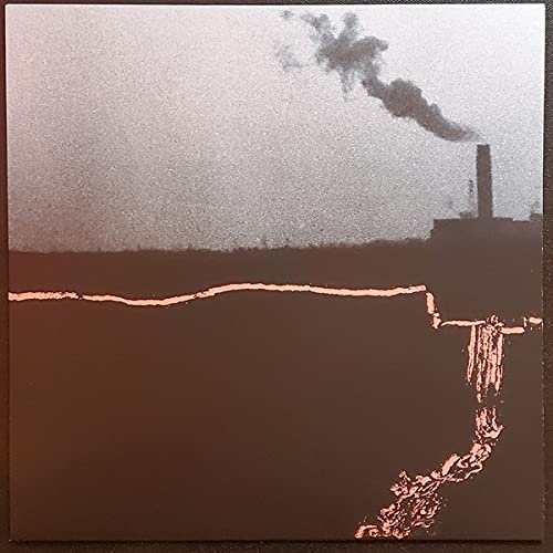 Goodbye Suit - Within Walls Without Windows [LP] Vinyl Record Album Cover