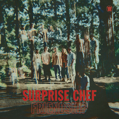 Surprise Chef - Friendship Ep - Sky Blue Vinyl Record