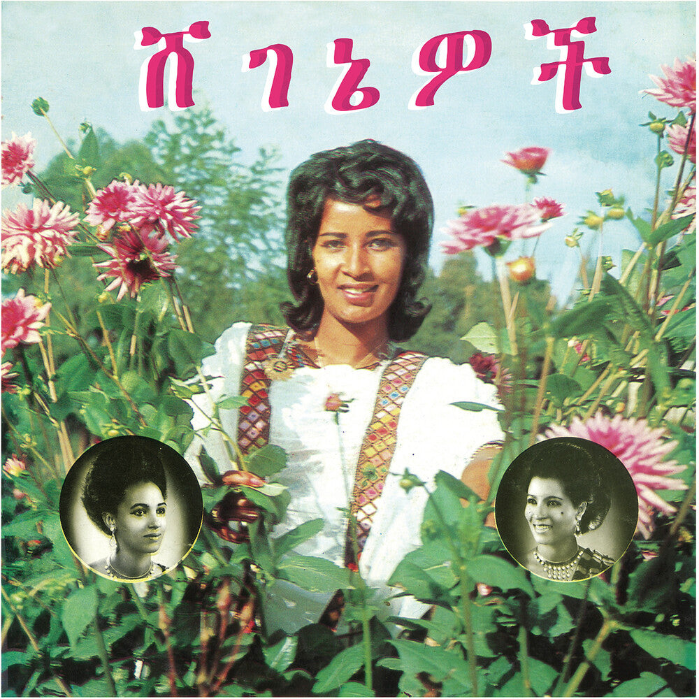Beauties [LP] Vinyl Record