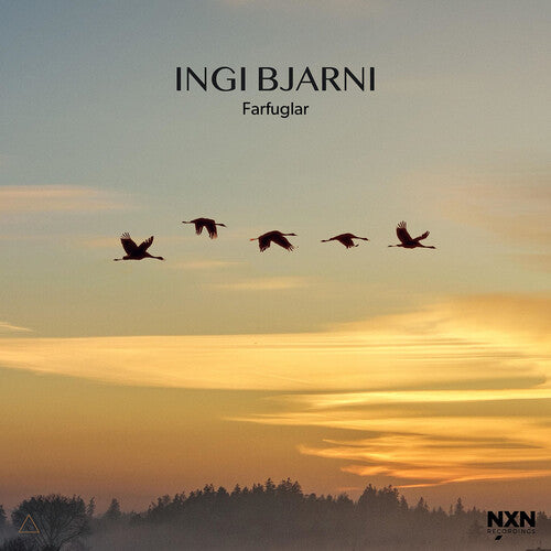 Skulason,ingi Bjarni - Farfuglar - Music CD