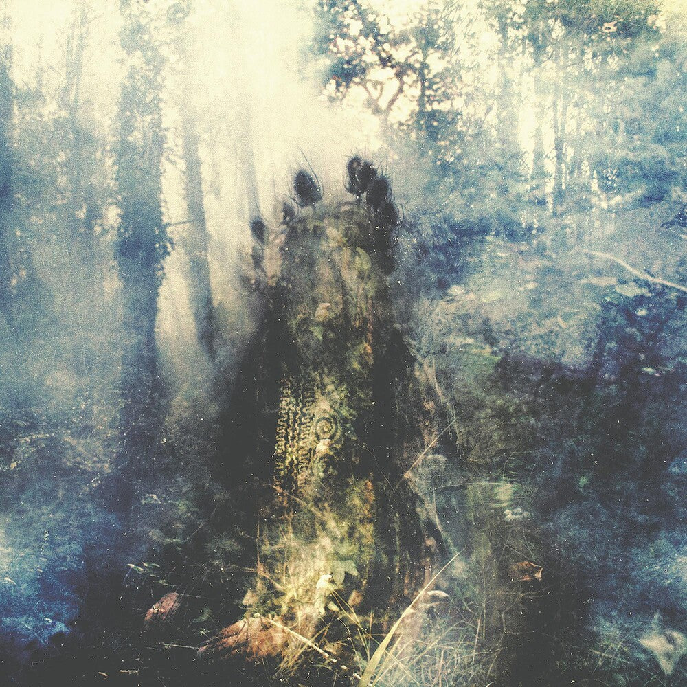 Sylvaine - Wistful (Bonus Track) [Clear Vinyl] (Gate) [Limited Edition] (Trq) Vinyl Record