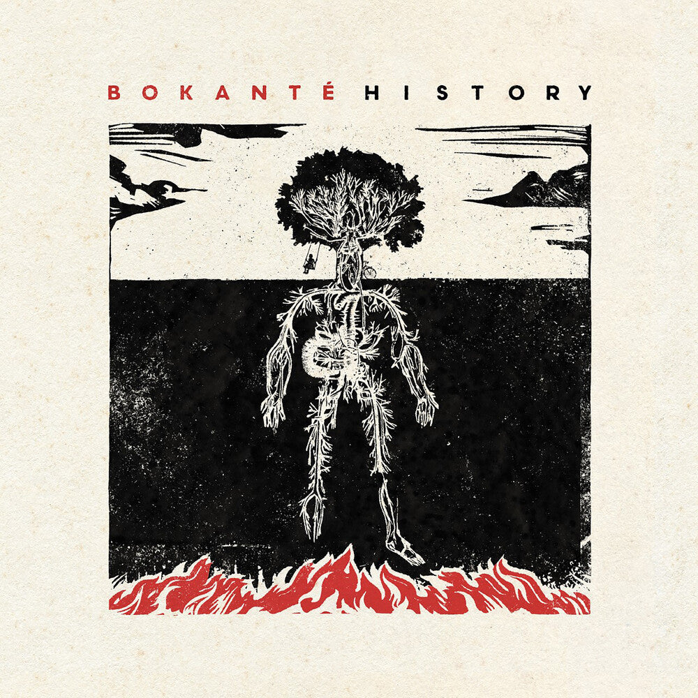 History [LP] Vinyl Record