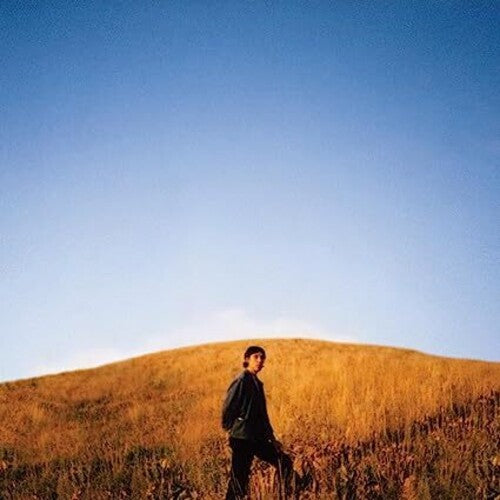 Sam Burton - Dear Departed Vinyl Record