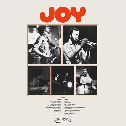 Joy - Joy Vinyl Record