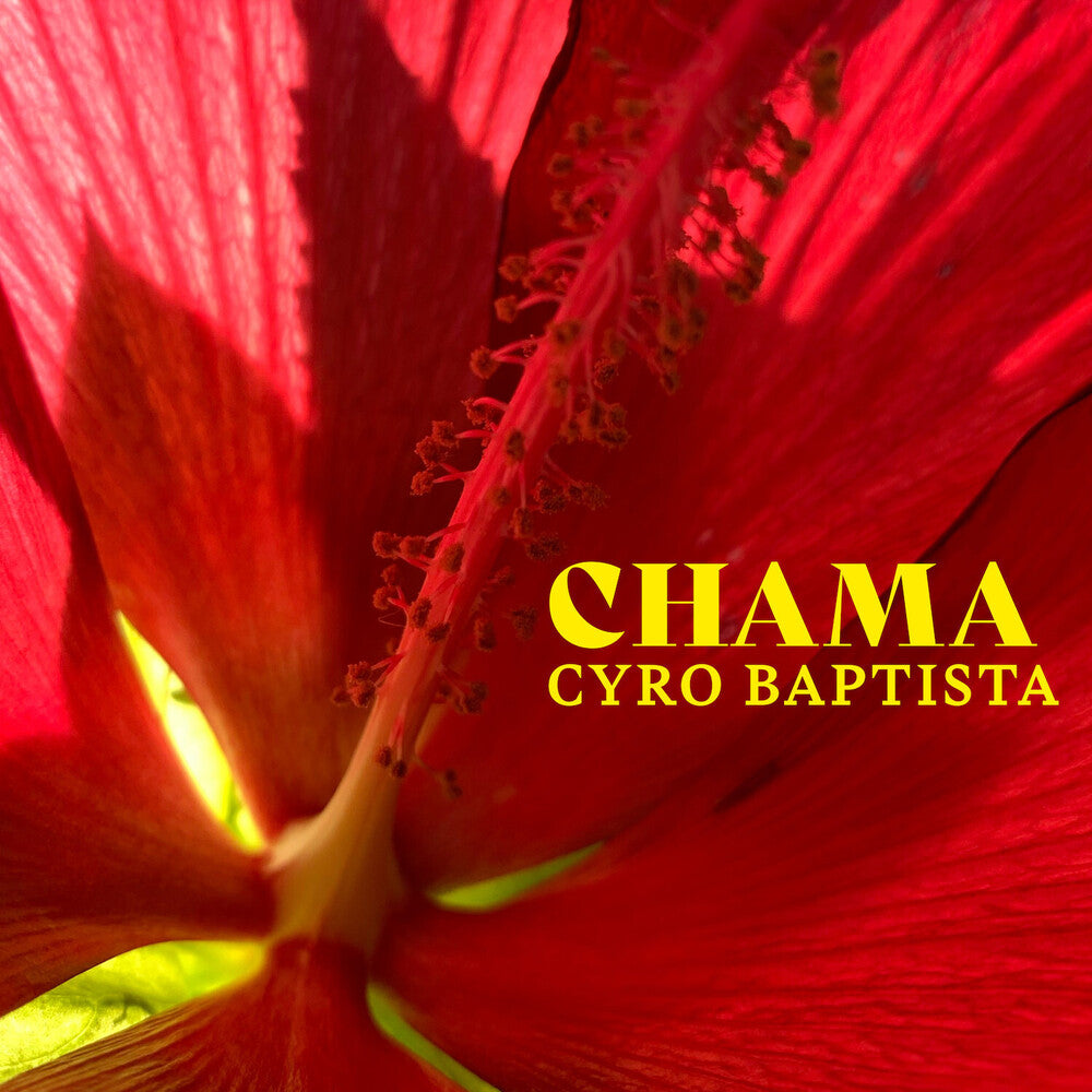 the album cover for Cyro Baptista - Chama