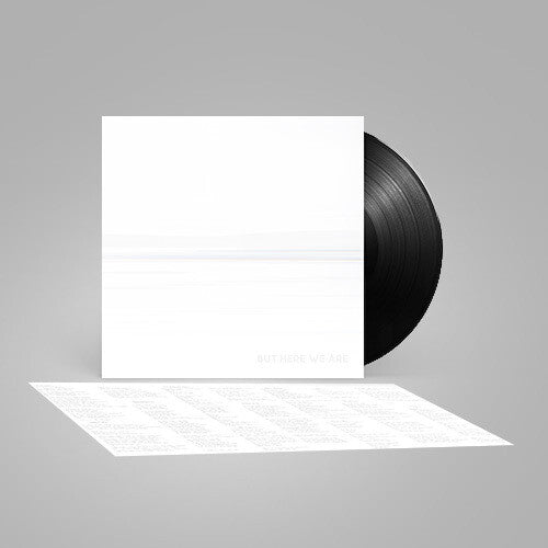 Foo Fighters - But Here We Are - Vinyl Record