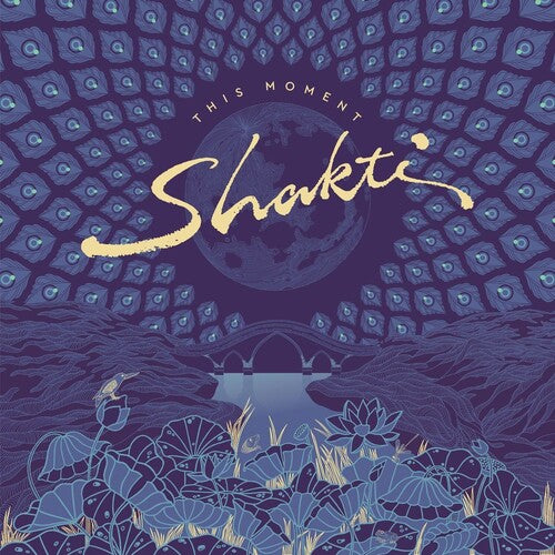 Shakti - This Moment - Music CD