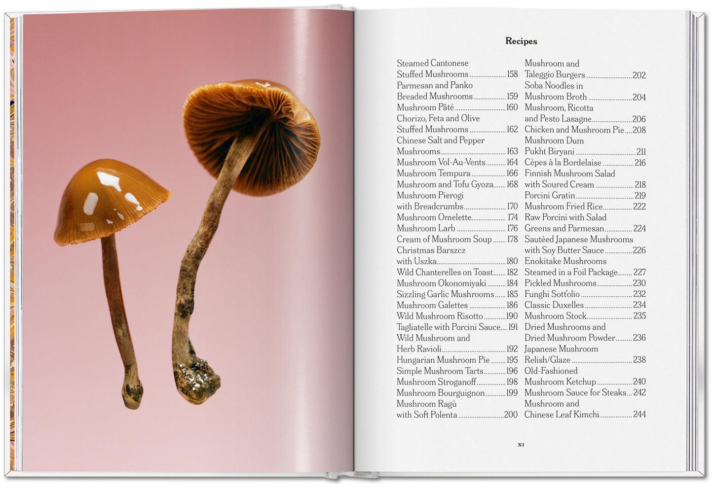 The Gourmand's Mushroom. A Collection of Stories and Recipes (English) Book