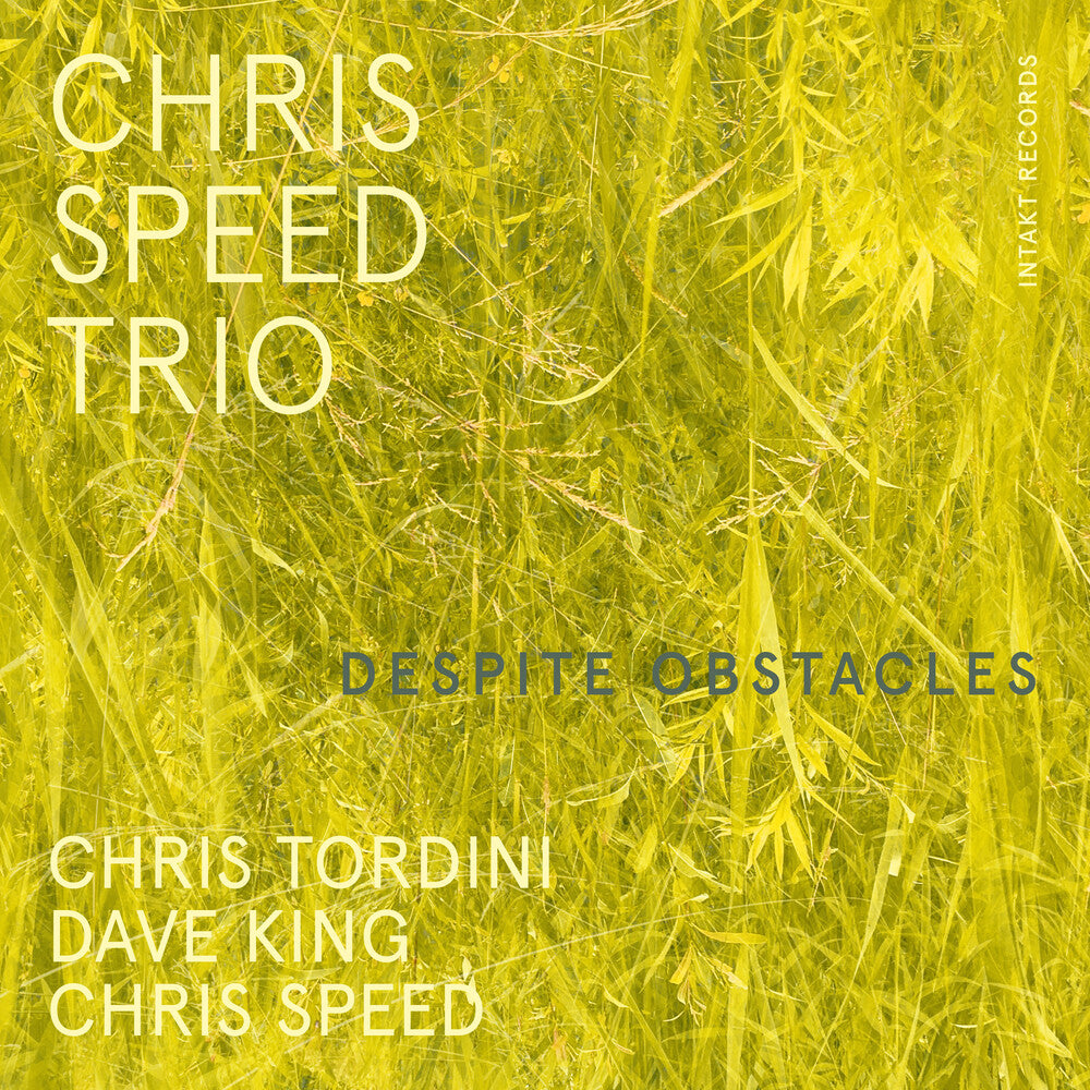 the album cover for Chris Speed - Despite Obstacles