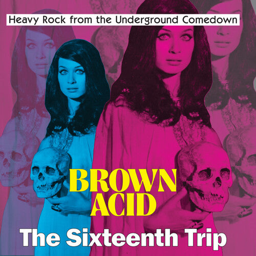 Various Artists - Brown Acid: The Sixteenth Trip Vinyl Record
