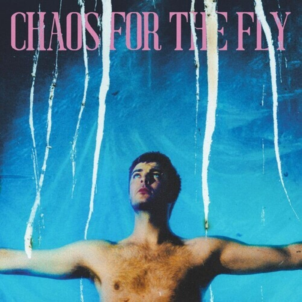 the album cover for Grian Chatten - Chaos For The Fly
