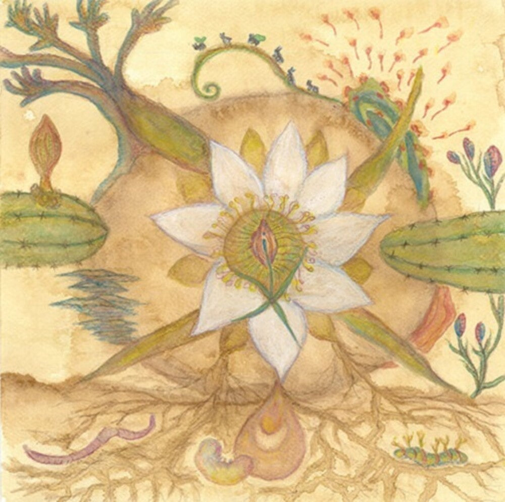 Markandeya - Vision Versions: Joaquin Cornejo Meets Markandeya [LP] Vinyl Record