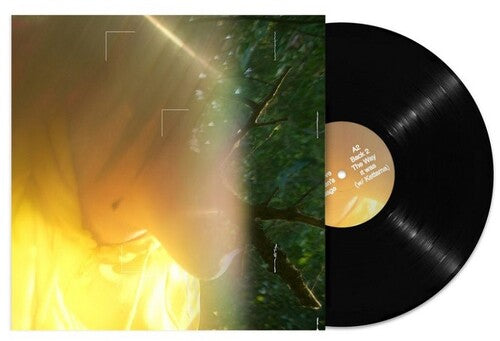 Tommy Holohan - Pulse Love : Heaven's Passage Vinyl Record