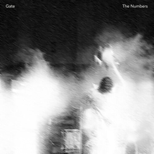 Gate - Numbers - Vinyl Record
