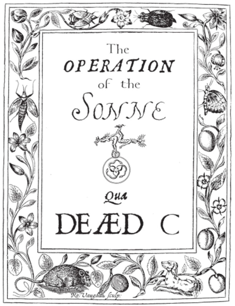 Dead C - Operation Of The Sonne [LP] Vinyl Record