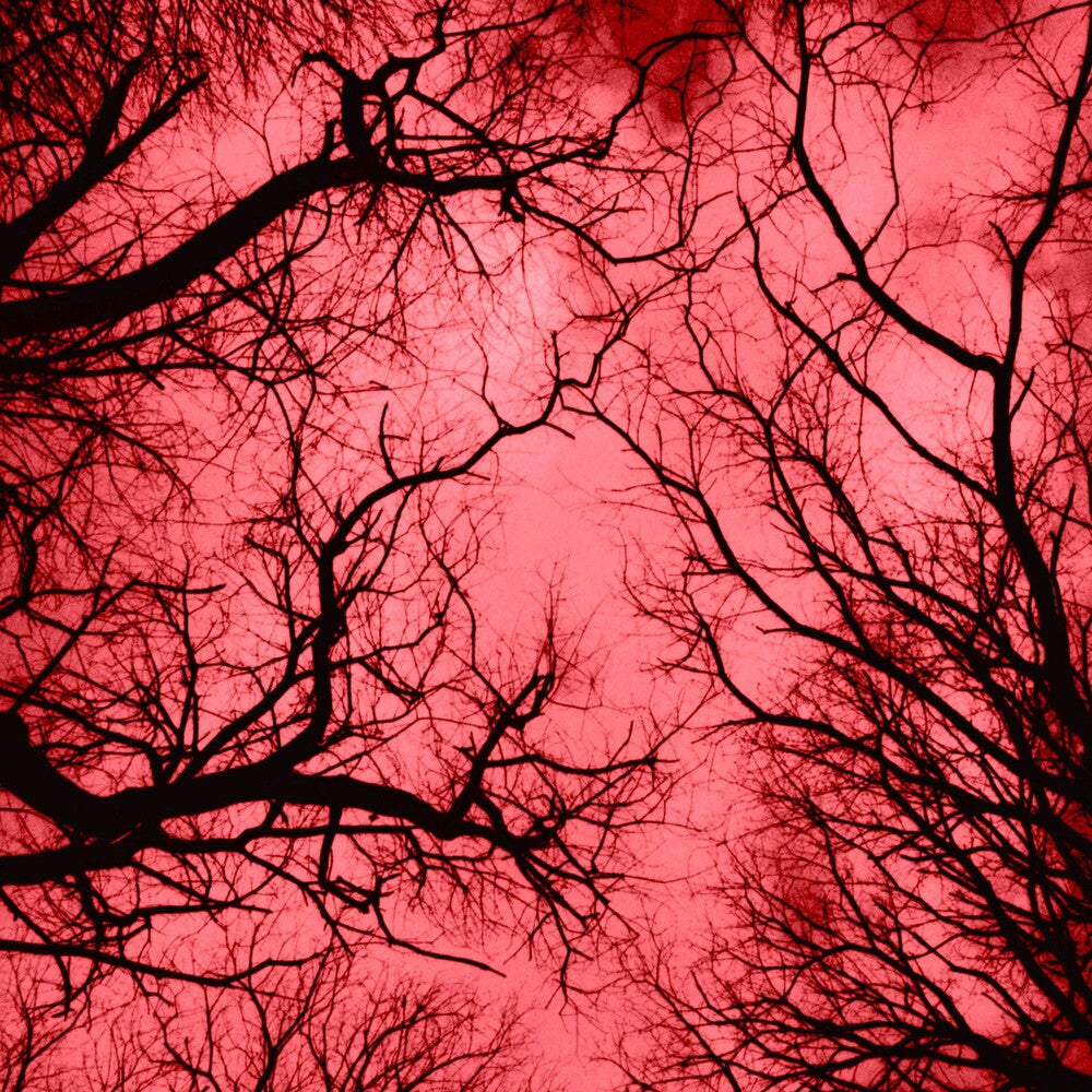 the album cover for Marco Colonna - Red Planet