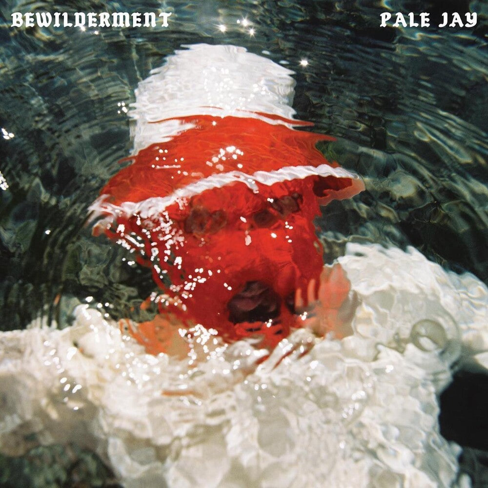 Pale Jay - Bewilderment [LP] Vinyl Record