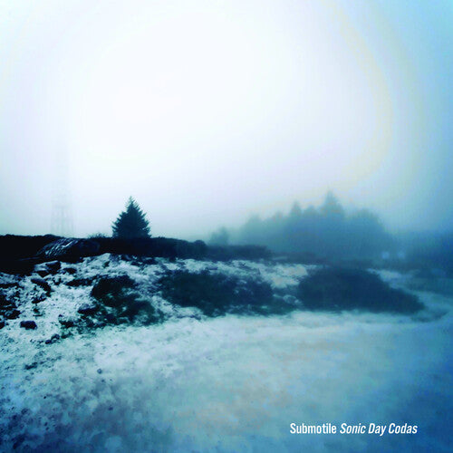 Submotile - Sonic Day Codas - Vinyl Record