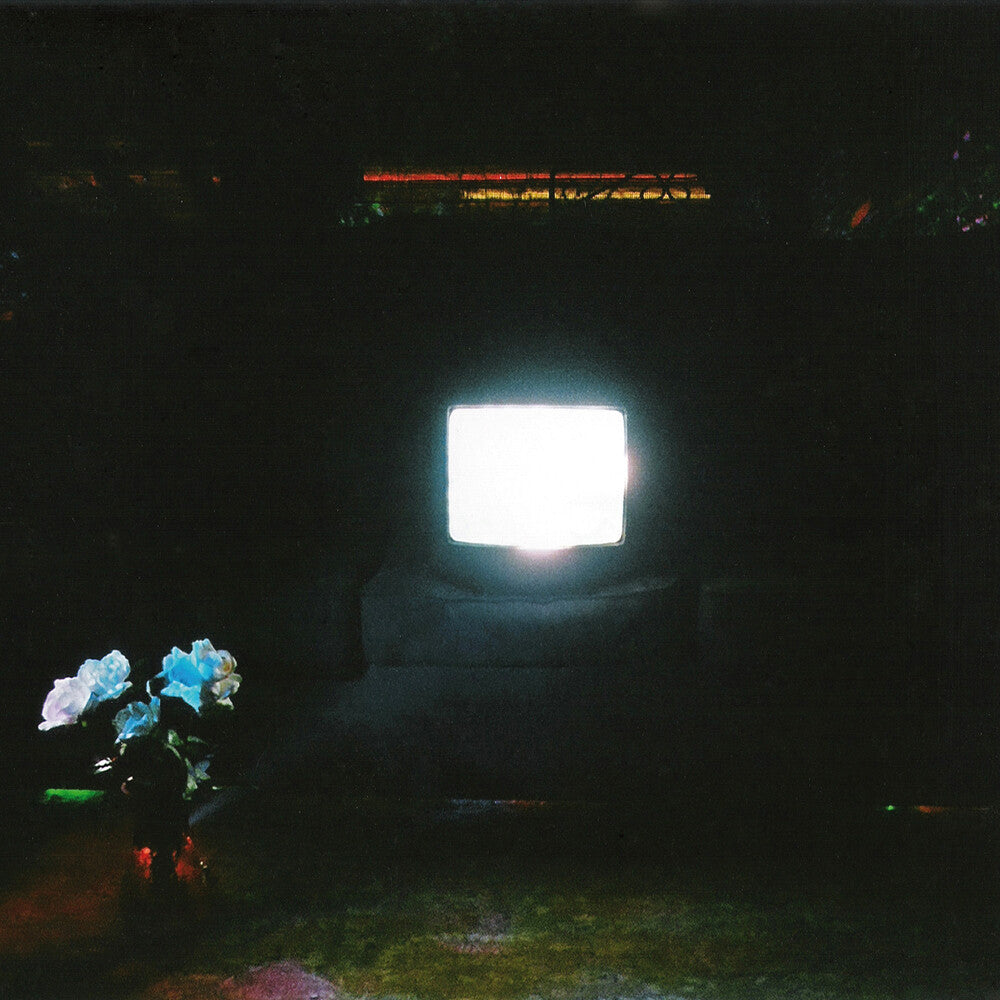 Does It Look Like I'm Here? [2LP] Vinyl Record