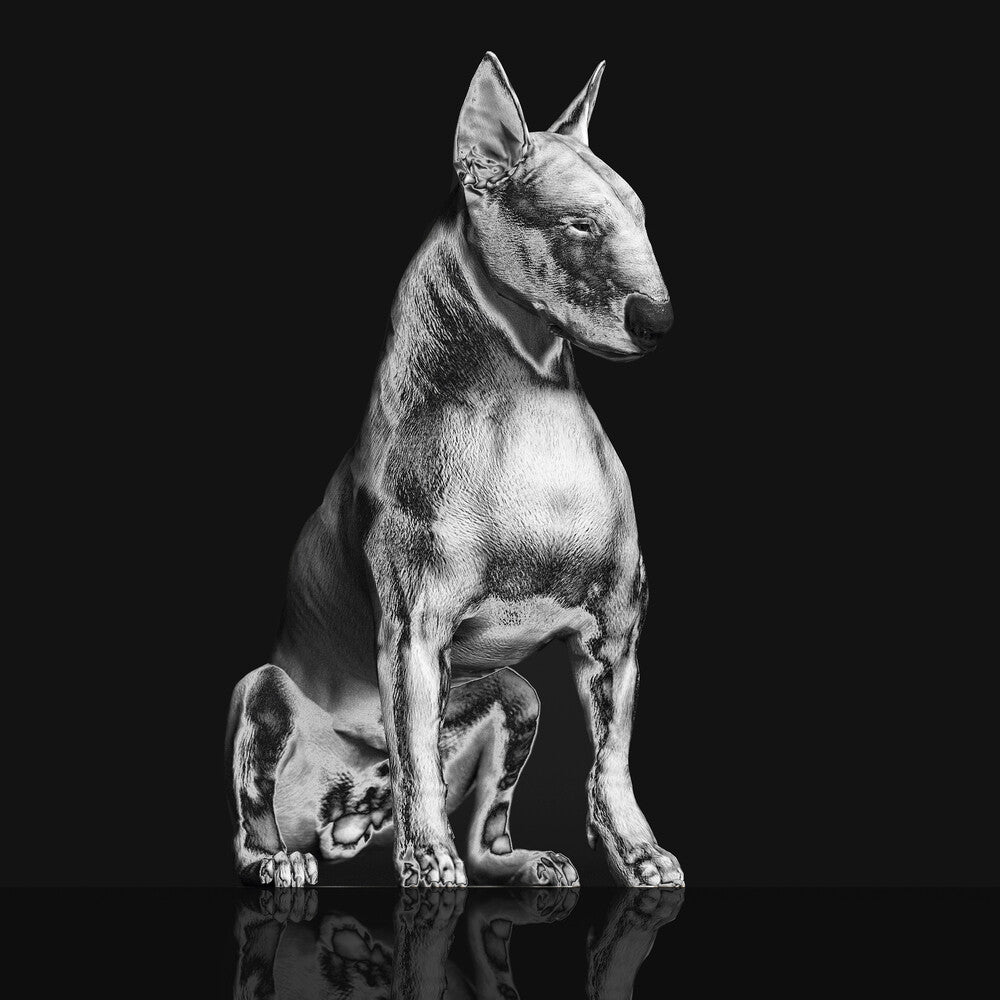 Platinum Statue [Clear Vinyl] Vinyl Record
