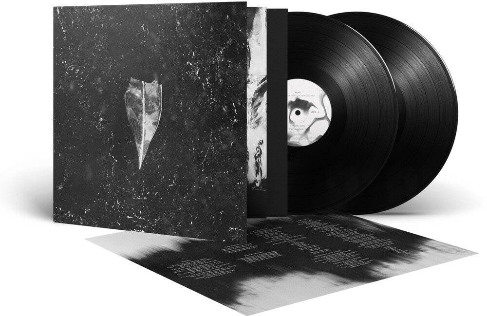 Aion (Gate) [LP] Vinyl Record