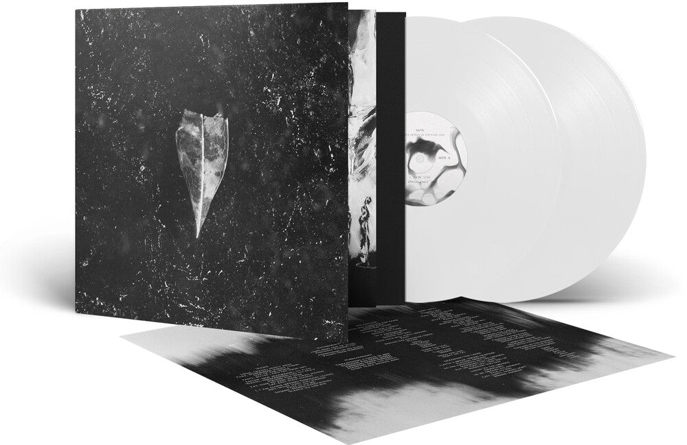 Aion - White [Colored Vinyl] (Gate) (Wht) Vinyl Record
