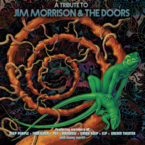 Various Artists - Tribute To Jim Morrison & The Doors Vinyl Record