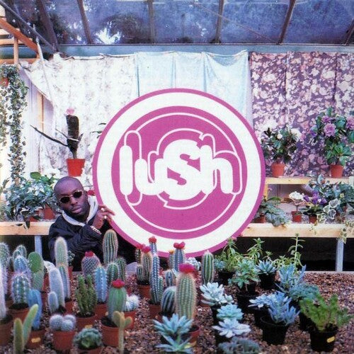 Lush - Lovelife - Vinyl Record