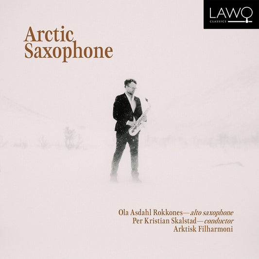 the album cover for Aaroen / Manotskov / Rokkones - Arctic Saxophone