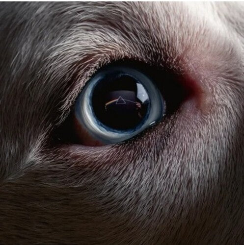 Roger Waters - The Dark Side Of The Moon Redux Vinyl Record