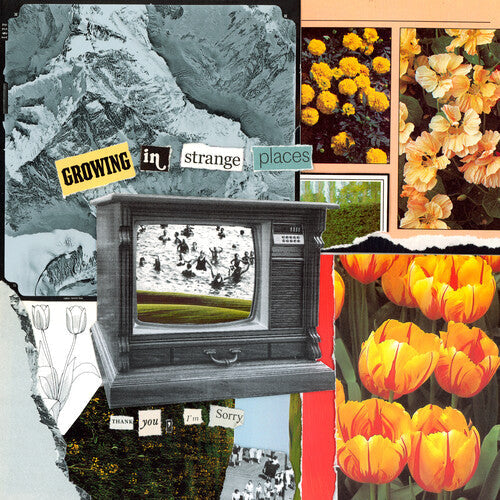 I'm Sorry Thank You - Growing In Strange Places - Orange Crush Vinyl Record