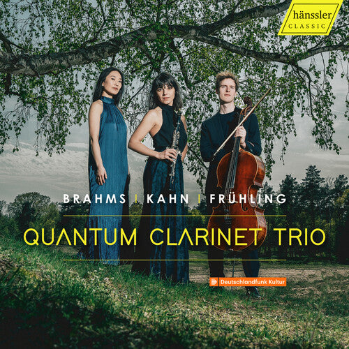 Brahms,j.s. / Kahn,robert / Veronesi,elena - Quantum Clarinet Trio - Music CD