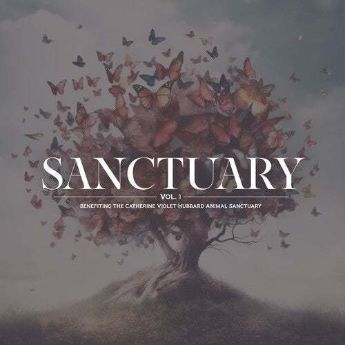 Various Artists - Sanctuary Vol. 1 Vinyl Record