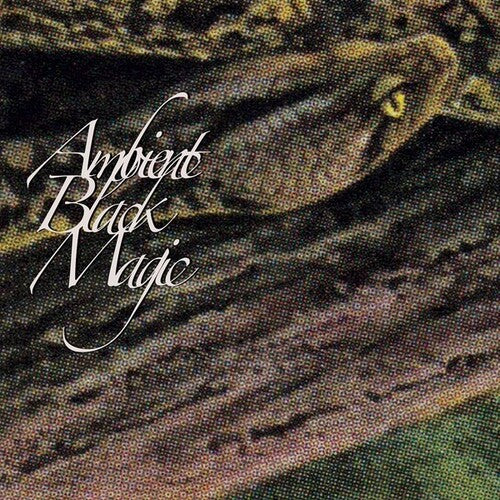 Rainforest Spiritual Enslavement - Ambient Black Magic - Vinyl Record