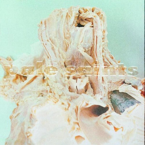Pale Saints - In Ribbons - Vinyl Record