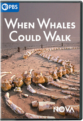 Nova: When Whales Could Walk - Nova: When Whales Could Walk - DVD