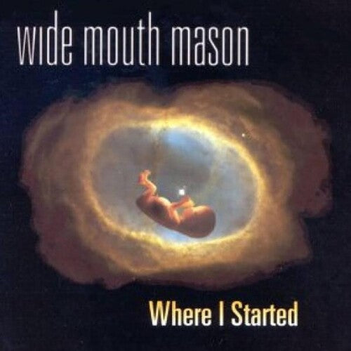 Wide Mouth Mason - Where I Started - Vinyl Record