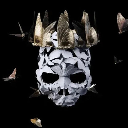 Princess Goes - Come of Age Vinyl Record