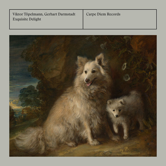 the album cover for Abel / Hammer / Darmstadt - Exquisite Delight