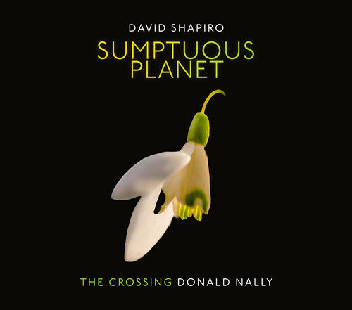 Shapiro / Crossing - Sumptuous Planet - Music CD