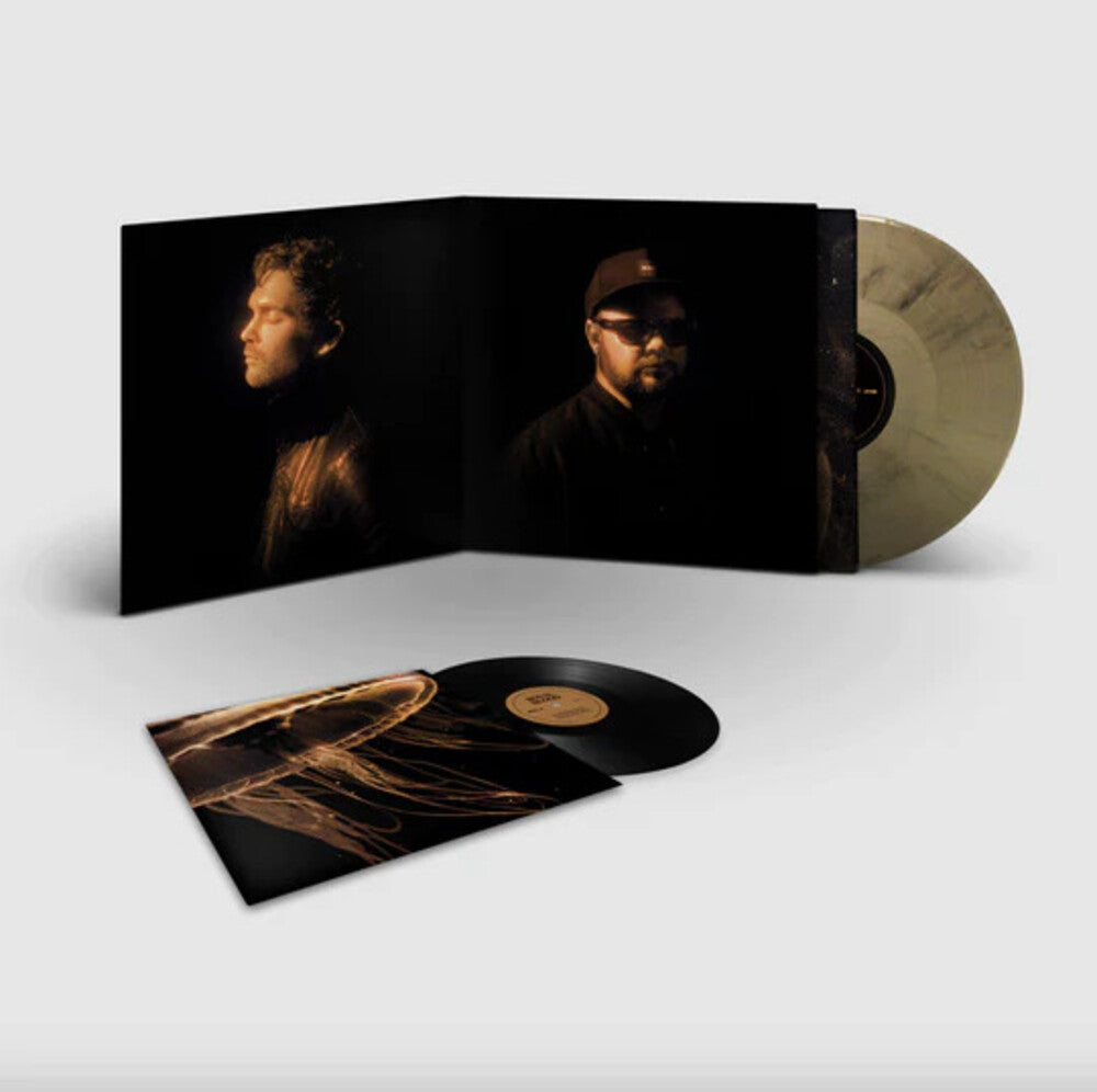 Back To The Water: Deluxe (Blk) [Colored Vinyl] [Deluxe] (Gol) Vinyl Record