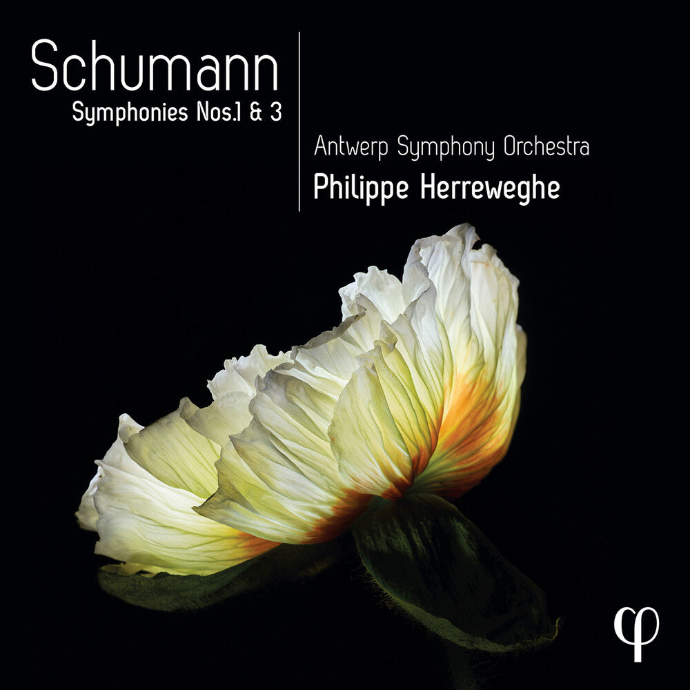 the album cover for Schumann / Herreweghe / Antwerp Symphony Orch - Symphonies Nos. 1 & 3