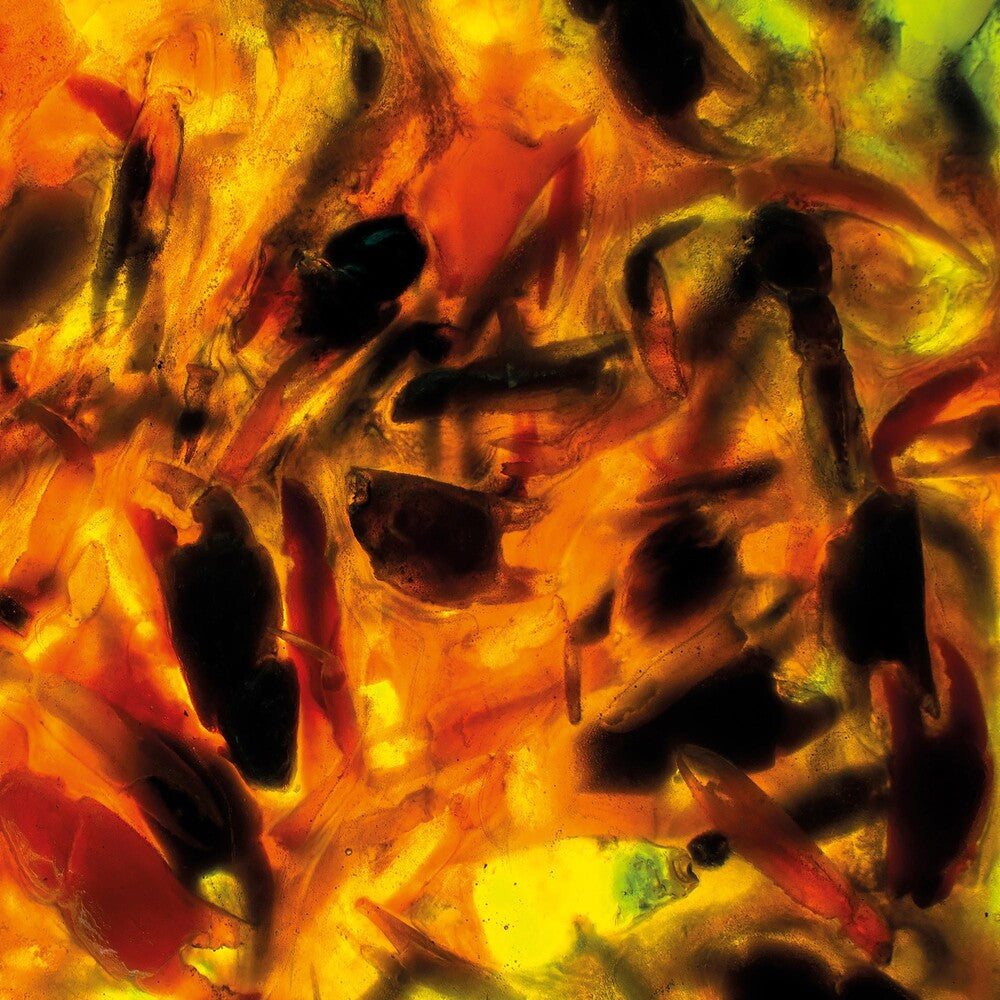 the album cover for Plague Rider - Intensities