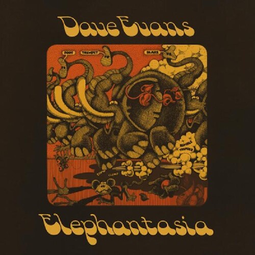 Evans,dave - Elephantasia - Vinyl Record
