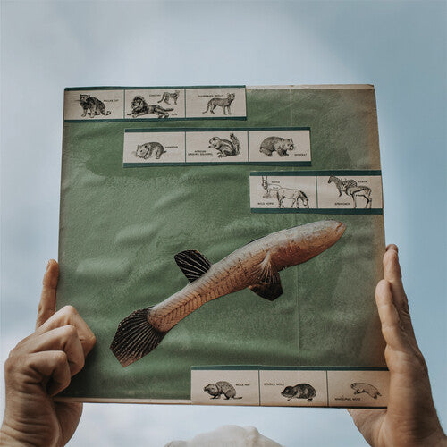 Cotton Jones - The River Strumming Vinyl Record