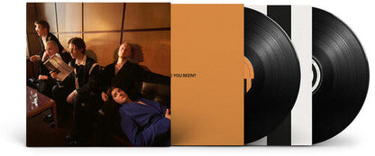 Giant Rooks - How Have You Been? Vinyl Record